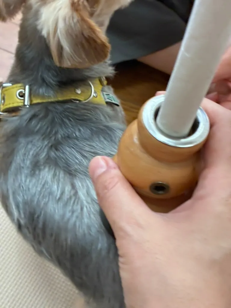 腰痛ケア（お灸）